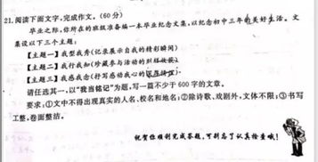 2022年中考优秀作文600字