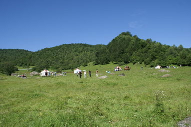 张家川天气预报15天之内，张家川天气预报当地15天查询
