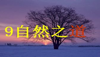 自然之道ppt图片，自然之道静,故天地万物生