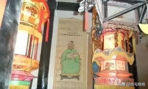 达鲁花赤简介及详细资料