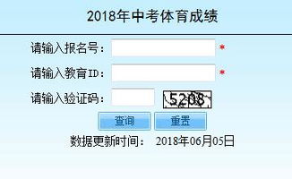 怎么查中考体育成绩