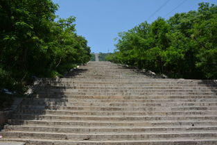 平顶山山顶公园收费吗