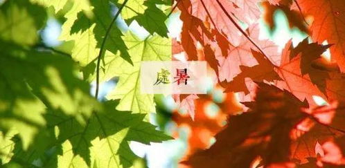 处暑是什么意思