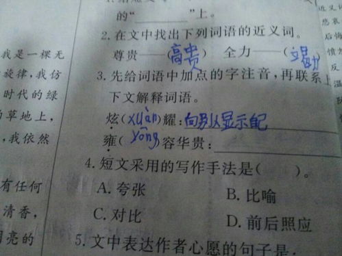 优容华贵的意思，雍雍华贵的意思
