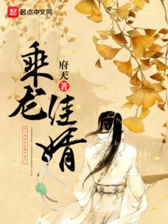 乘龙佳婿免费阅读，乘龙佳婿造句