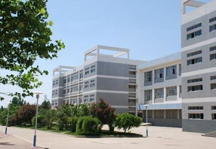 山电是什么大学
