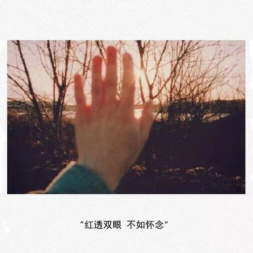 字谜 急用