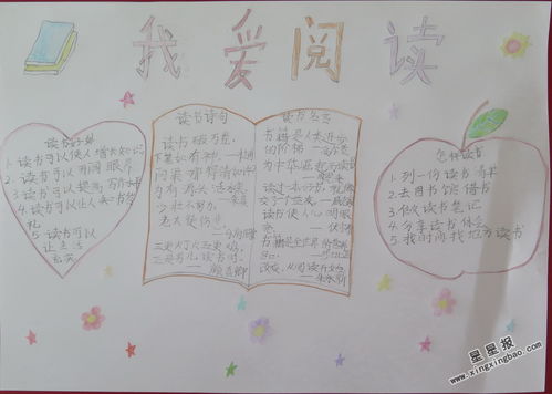读书手抄报内容写什么