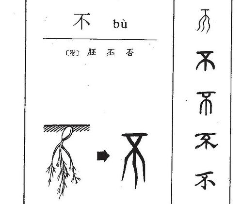 假借字名词解释