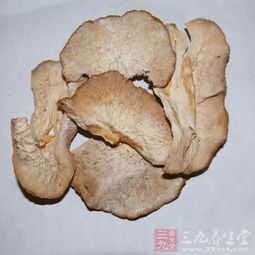 过岗龙功效与作用与主治，过岗龙片的功效与作用及禁忌
