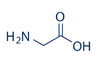 glycine是什么意思，glycine soja