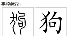 斑的拼音和组词