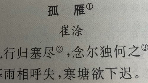 《孤雁·崔涂》原文与赏析