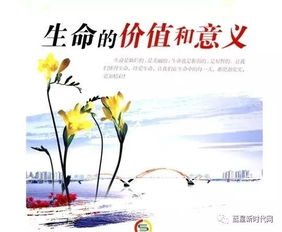 生命的价值和意义，生命的价值感悟