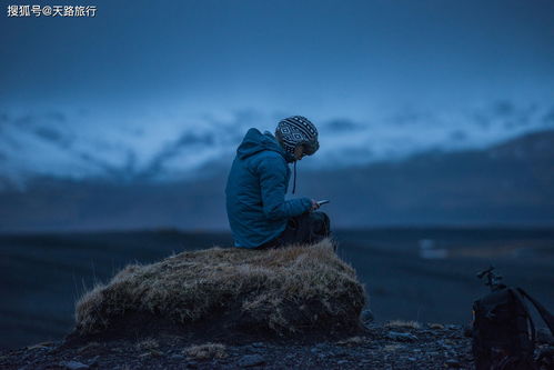 东山再起这个典故出自谁，东山再起的励志句子