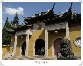 请问大林寺在什么山上