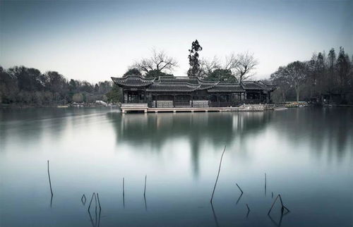 浔阳江在哪里?