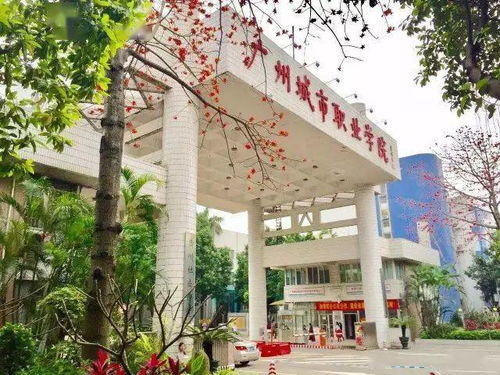 广州城市职业学院是大专吗