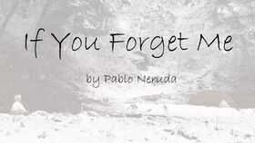 forget怎么读?