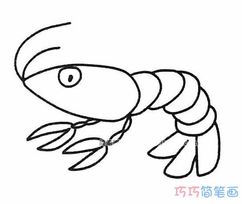 虾简笔画彩色，蛇简笔画图片大全可爱