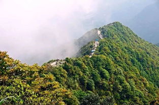 马峦山公园游玩攻略，马峦山隧道