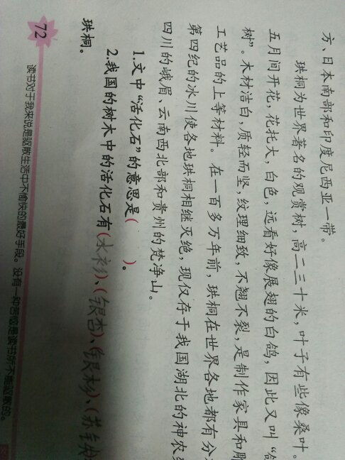 银杏水杉活化石是什么意思，说一个人是活化石是什么意思