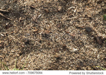 soil是什么意思