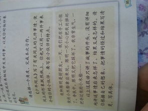 我的好朋友作文500字10篇