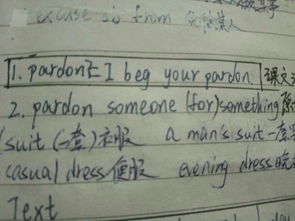 beg pardon是什么意思，pardon是什么意思 用法