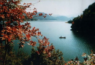 安庆太湖天气预报说，安庆太湖天气预报一周7天