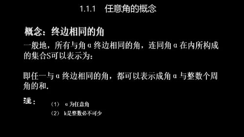 任意是什么意思