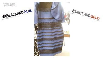 “dress”是什么意思?