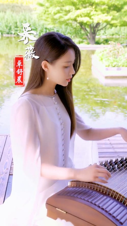 关于雨雪霏霏的读音