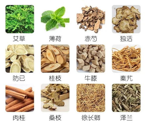 灸草图片，灸草堂天天爱