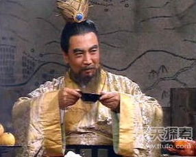 乱臣贼子的意思