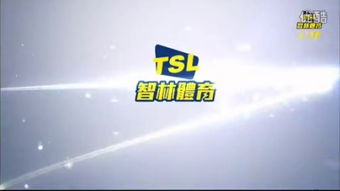 tickets怎么读?