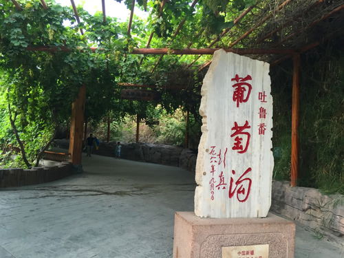 专程拜谒的拼音，拜谒的拼音怎么拼写