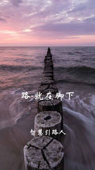 引路人四个，引路人的句子