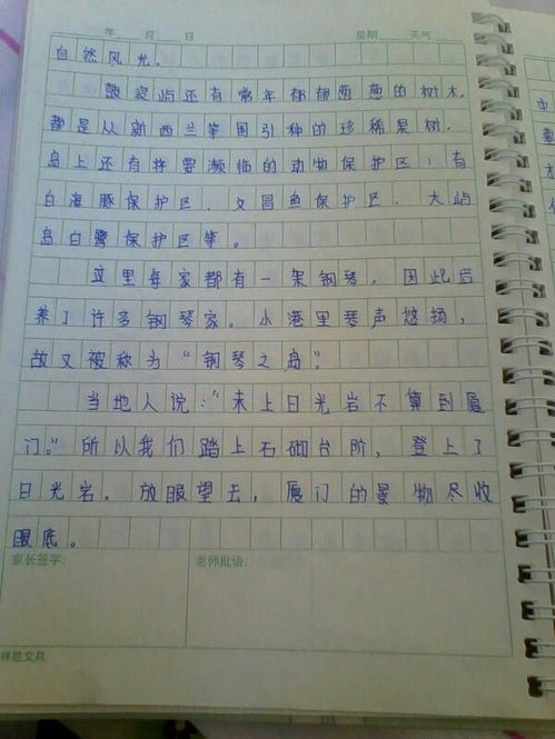 小学三年级周记300字六篇