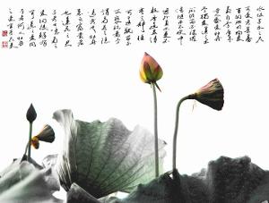 爱莲说周敦颐原文，爱莲说周敦颐全文