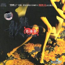 无声的雨 歌词，无声的雨是什么意思