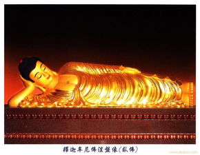 涅磐重生形容什么人，涅盘重生可以形容男人吗