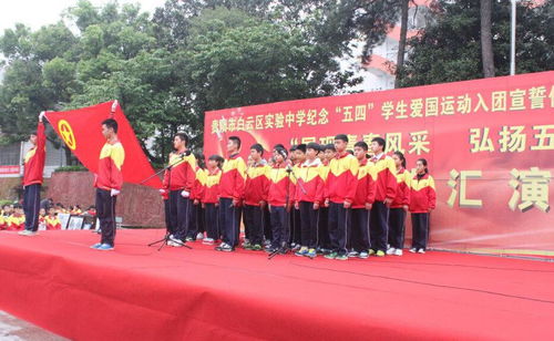 入团宣誓誓词是什么?