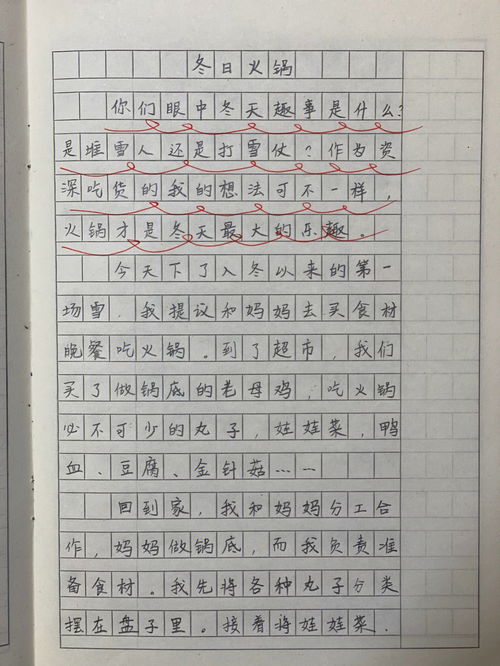 我喜欢冬天作文800字
