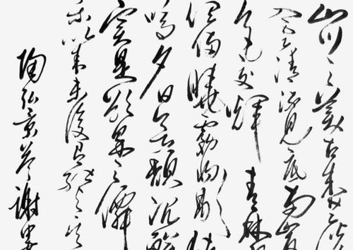 答谢中书书原文及翻译拼音，八上语文答谢中书书原文及翻译