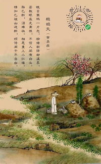 鹧鸪天辛弃疾词陌上柔桑破嫩芽，鹧鸪天辛弃疾词欲上高楼去避愁