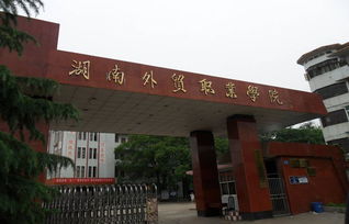 湖南科技职业学院，湖南信息职业学院