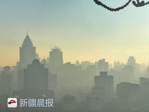 乌鲁木齐米东区的未来15天的天气预报?