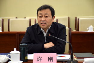 许刚智勋，许刚峰简介