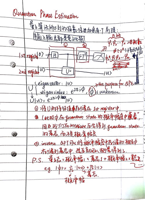 algorithm是什么意思及反义词